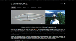 Desktop Screenshot of cgriersellers.com